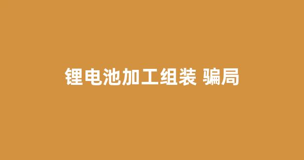 锂电池加工组装 骗局(锂电池加工组装 骗局案例)_https://www.hhem8.com_上交所_第1张